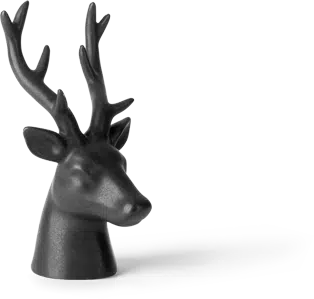 deer deer