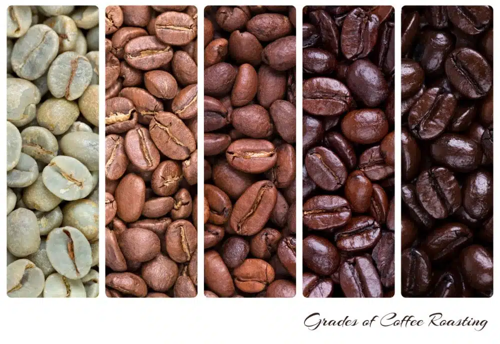 grades of coffee roasting from white to black