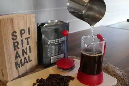 Brewing French Press Coffee With Spirit Animal Catuai Bourbon Beans