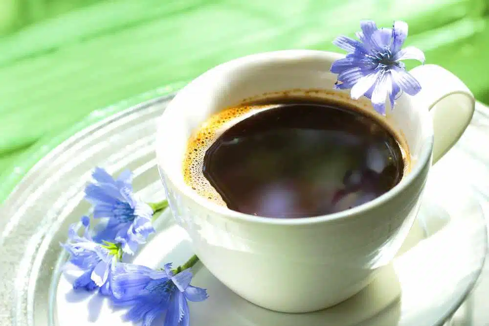A mug of chicory coffee beside some chicory flowers