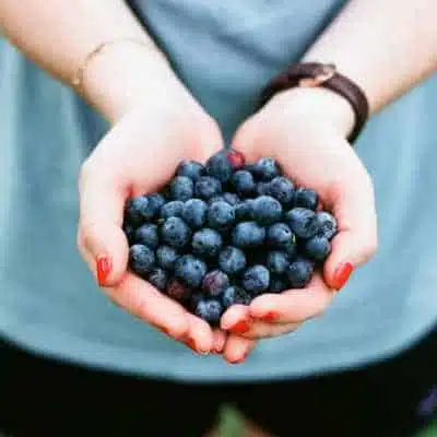 A big handful of blueberries