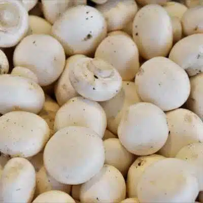 Some white button mushrooms