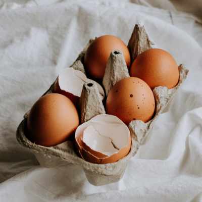 eggshells in an eggbox