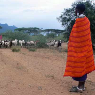 A goat herder in Africa