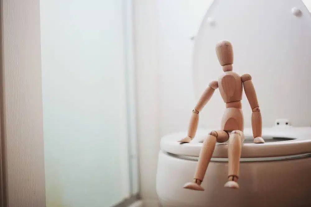 Wooden person on the toilet