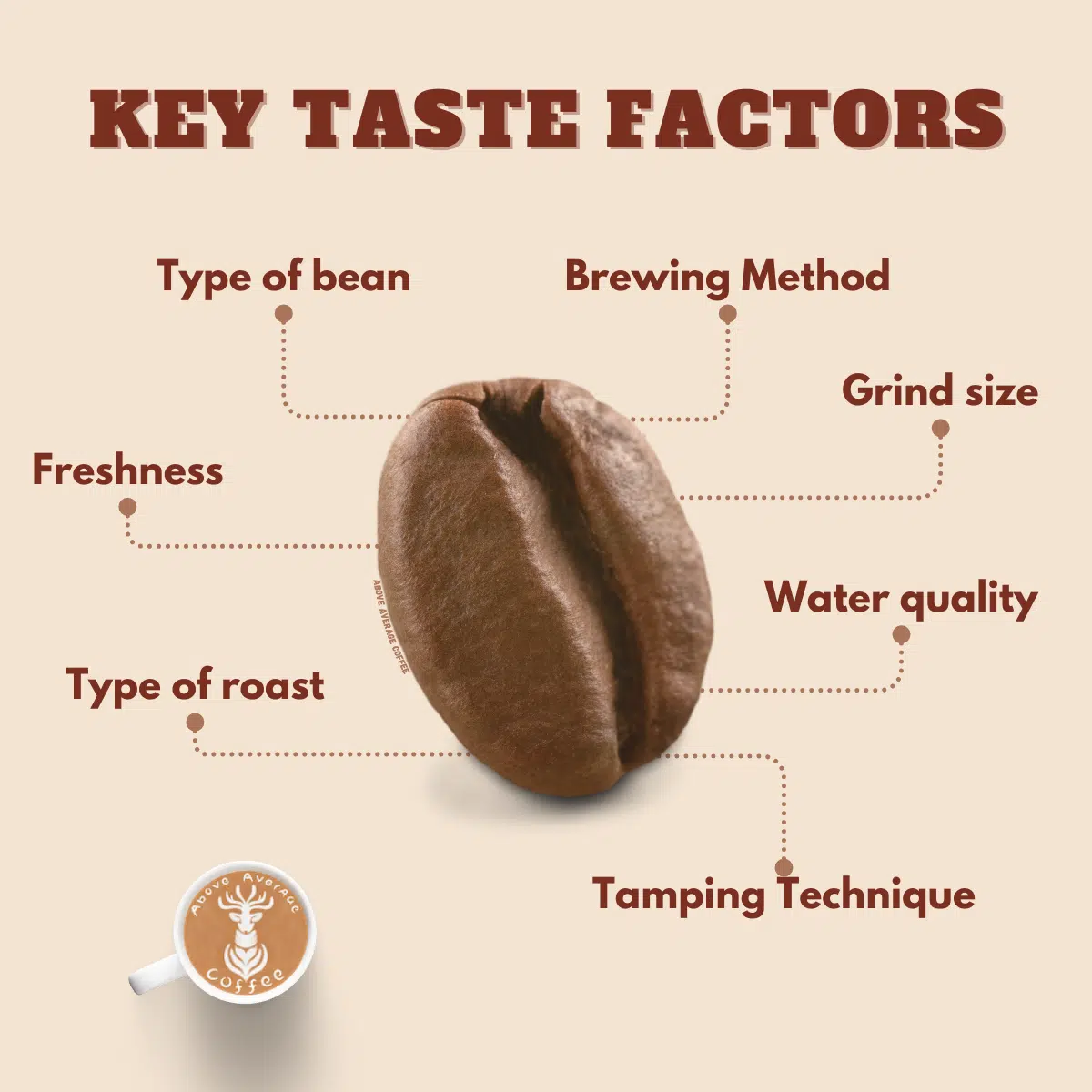 Graphic of a coffee bean that is showing the key factors that affect the taste of your coffee.
