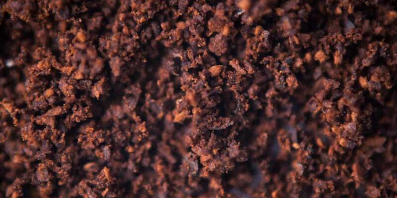 The Many Uses for Coffee Grounds