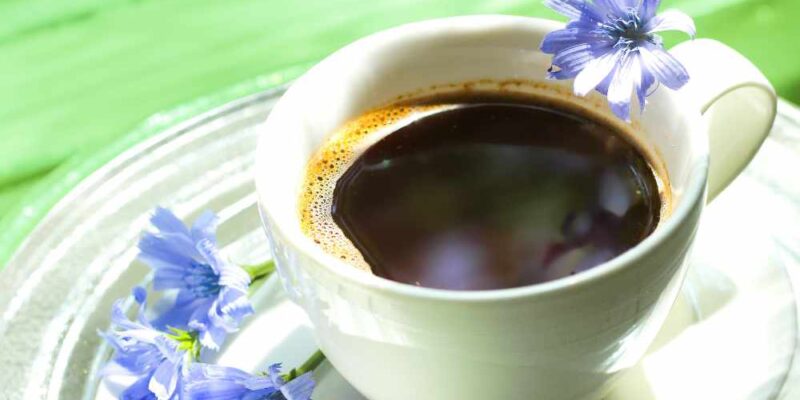 What Is Chicory Coffee? (Coffee, But Not Coffee)