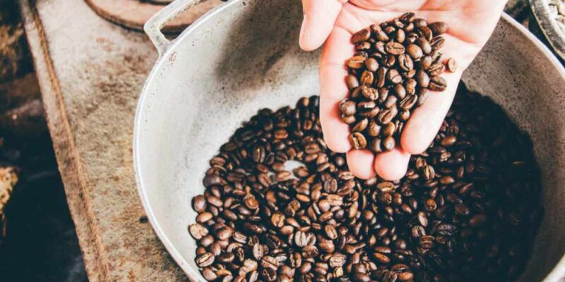 Blend vs Single Origin Coffee (Should You Mix It Up?)