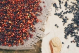 What Is Arabica Coffee?